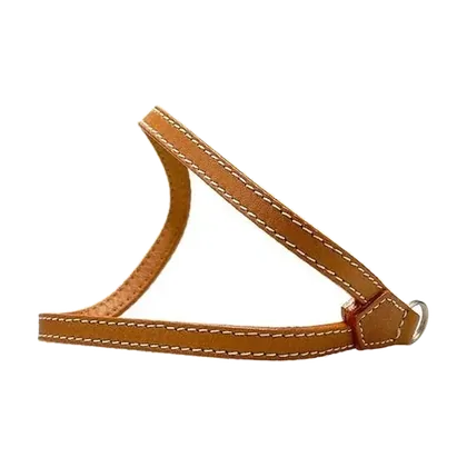 dragonne D-Lux (type 109)