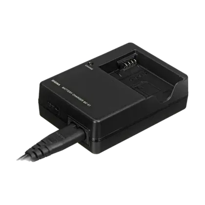 Chargeur de batteries BC-51 pour dp Quattro et fp